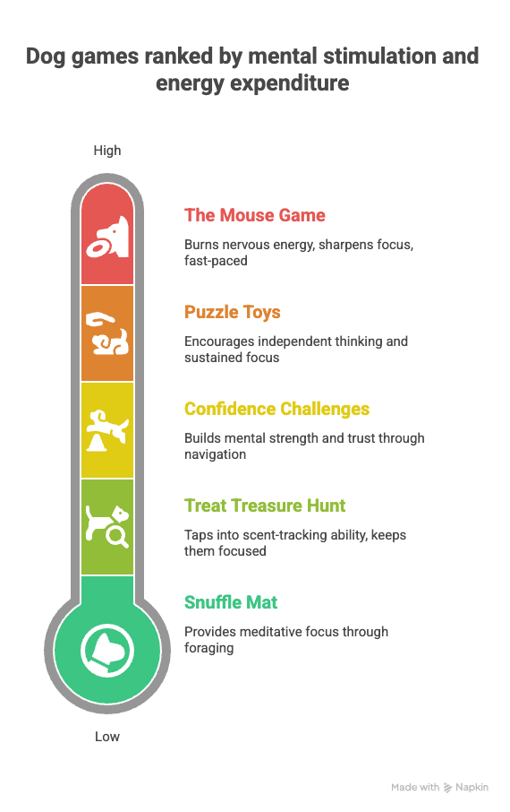 Infographic showing DIY dog brain games for anxiety with explanations of how each game helps reduce stress and stimulate mental activity in dogs.

Infographic showing DIY dog brain games for anxiety with explanations of how each game helps reduce stress and stimulate mental activity in dogs.

