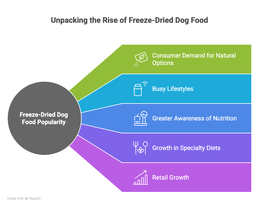 A pet owner choosing between freeze-dried and raw dog food while holding a nutrition guide, reflecting trends in natural dog food options and BARF diets.
