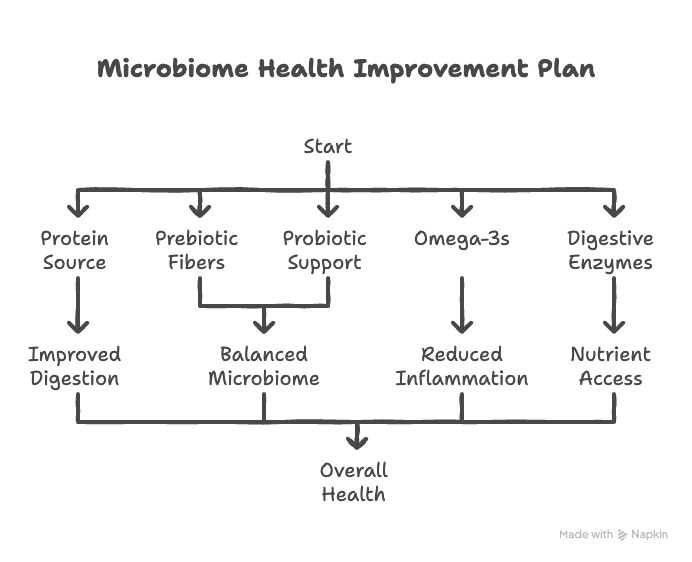 Infographic detailing key dietary adjustments for improved gut health, including single-source proteins, prebiotics, probiotics, omega-3s, and digestive enzymes based on microbiome data.