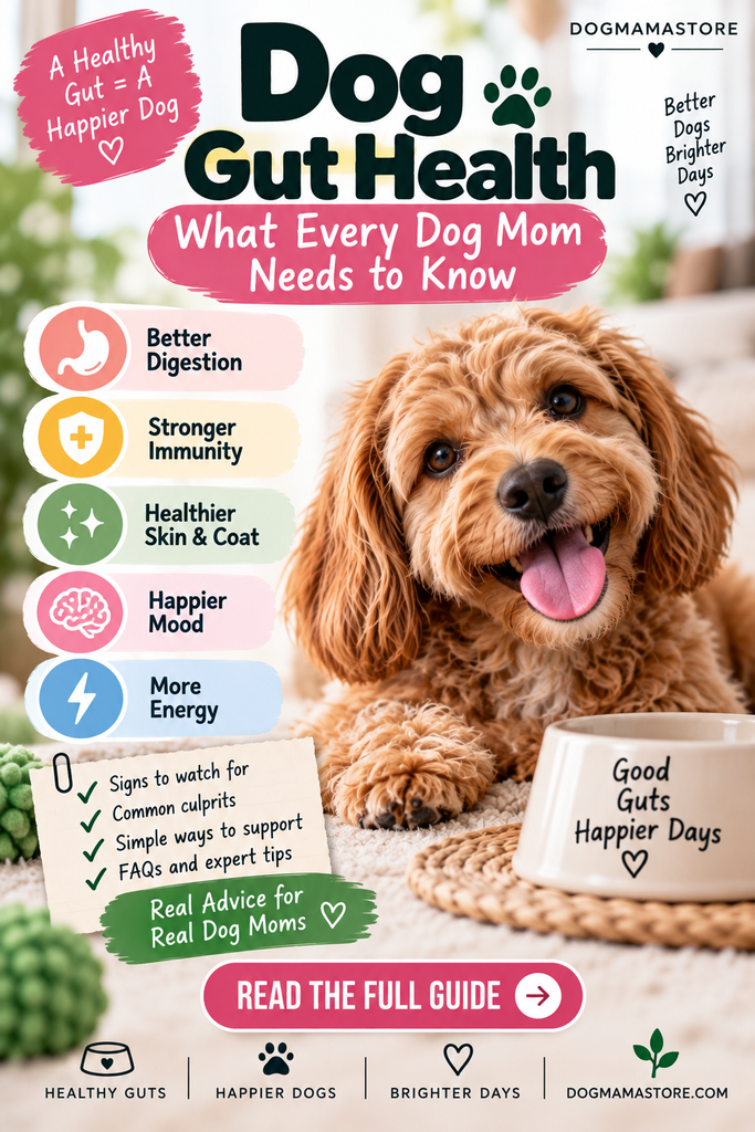 Pinterest pin for dog gut health guide featuring a happy cavapoo, listing benefits like better digestion, stronger immunity, and more energy